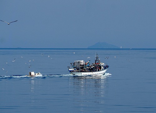 Kavala _Thassos 
<p>&nbsp;</p><p>&nbsp; Getting back from fishing</p><p>&nbsp;</p>
Fishermen / fishing boats / fishing equipment
Kanelli Eugenia